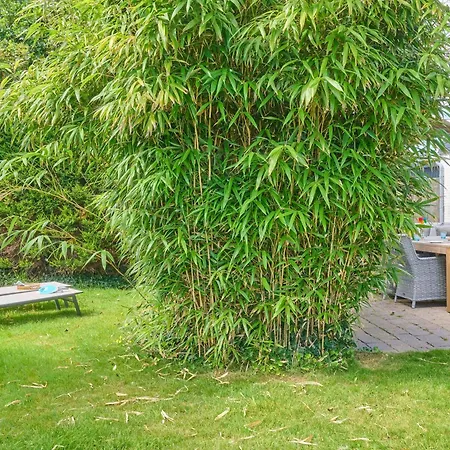 Strandvilla Roots Villa Callantsoog